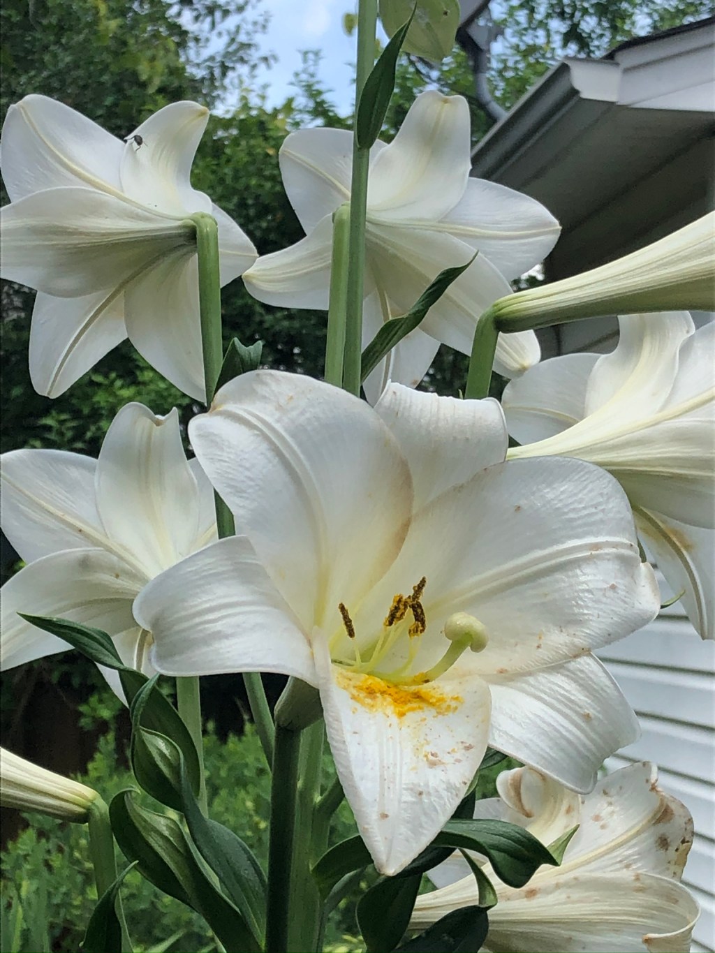 A Public Death – Pre-Easter&nbsp;Meditation